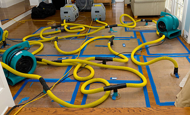 Professional Crawl Space Water Removal technician working in Hydetown, PA